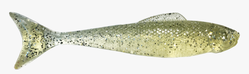Eel, HD Png Download
