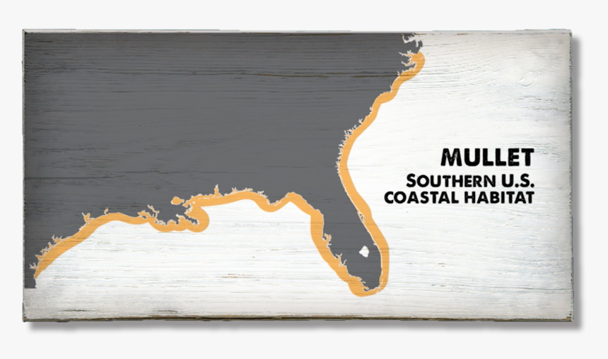 Plywood, HD Png Download