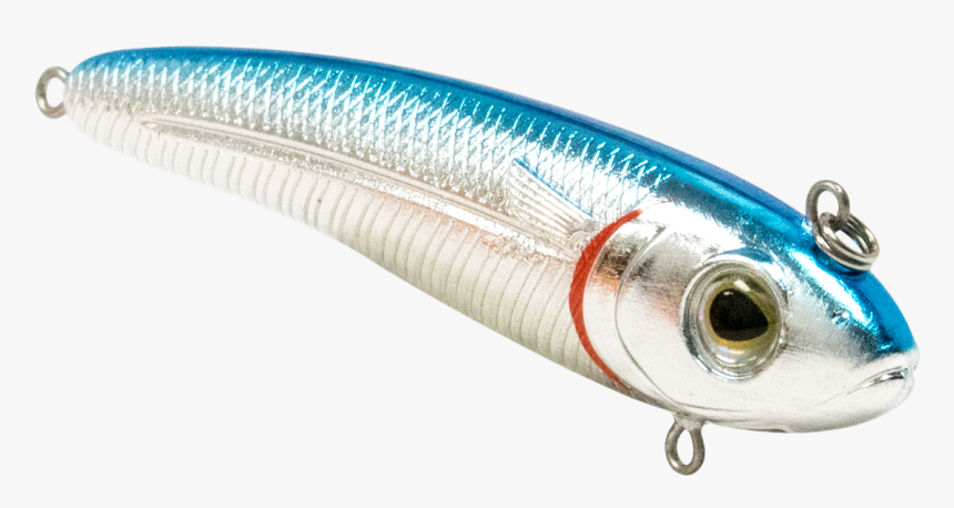 Bait Fish, HD Png Download