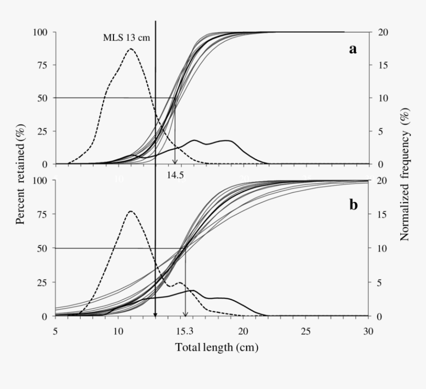 Diagram, HD Png Download