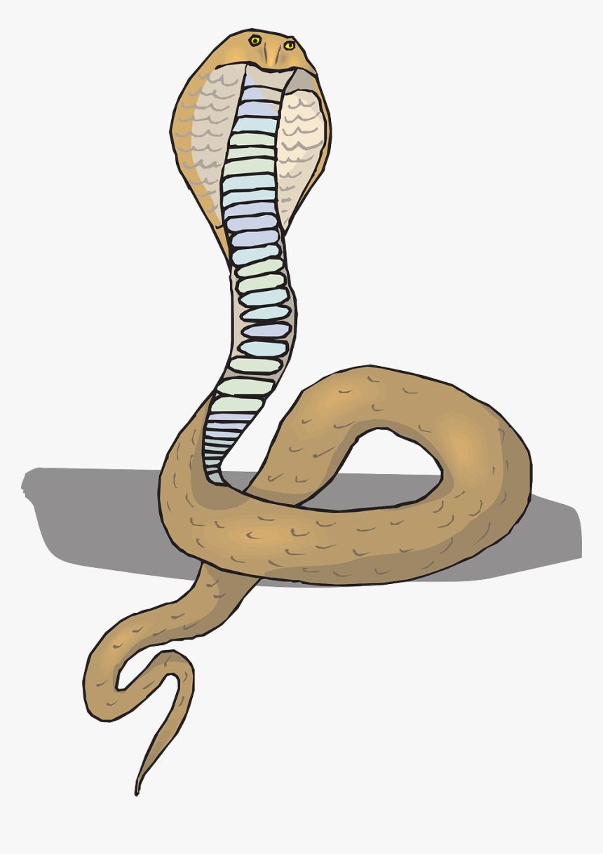 Head Snake Cobra Free Picture - วาด รูป หัว งู, HD Png Download