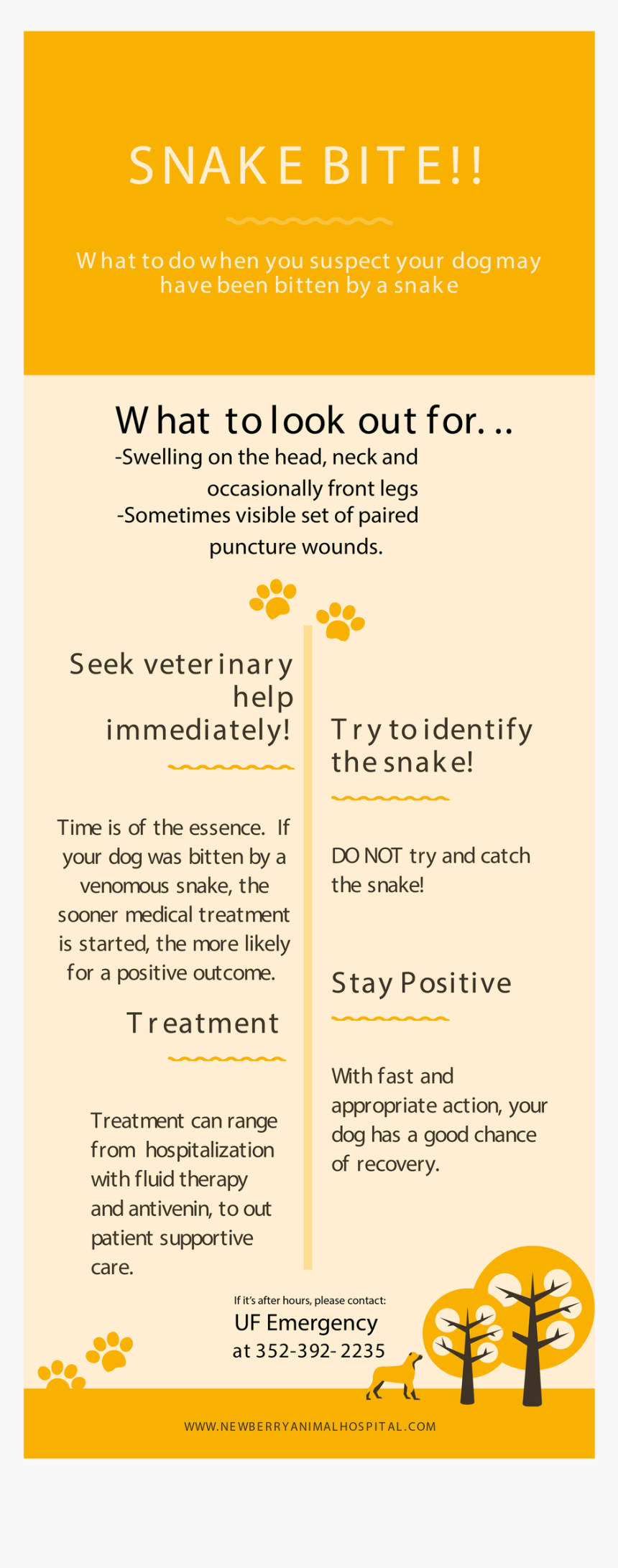 Screenshot, HD Png Download