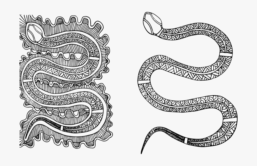 Illustration, HD Png Download