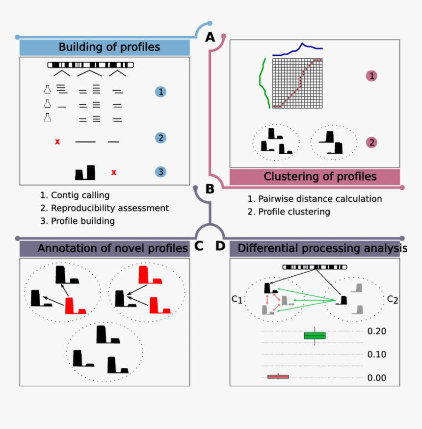 Diagram, HD Png Download