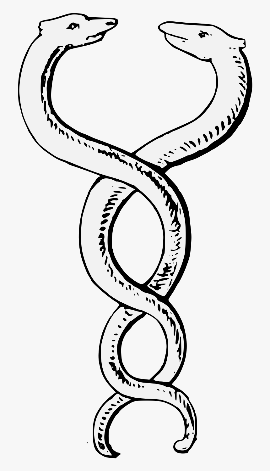 Line Art, HD Png Download