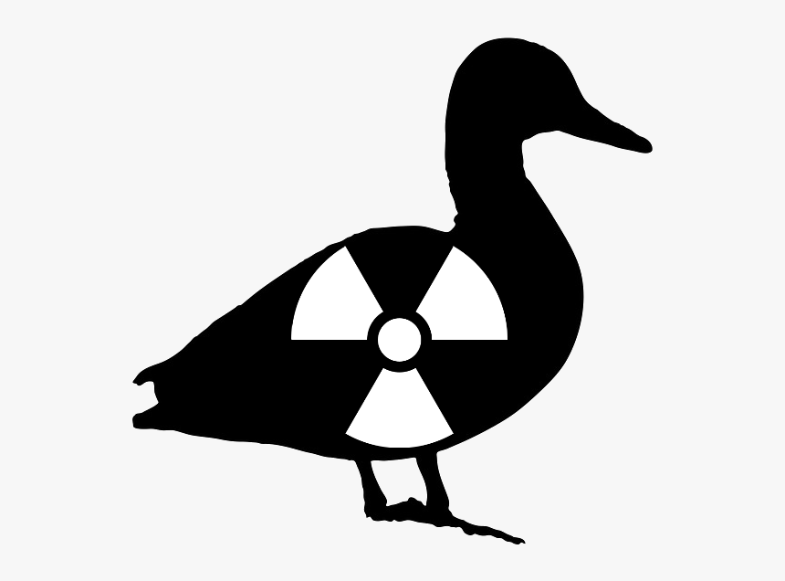 Mothra Vs Godzilla - Portable Network Graphics, HD Png Download