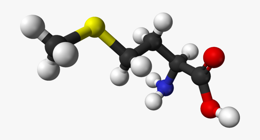 Methionine 3d, HD Png Download