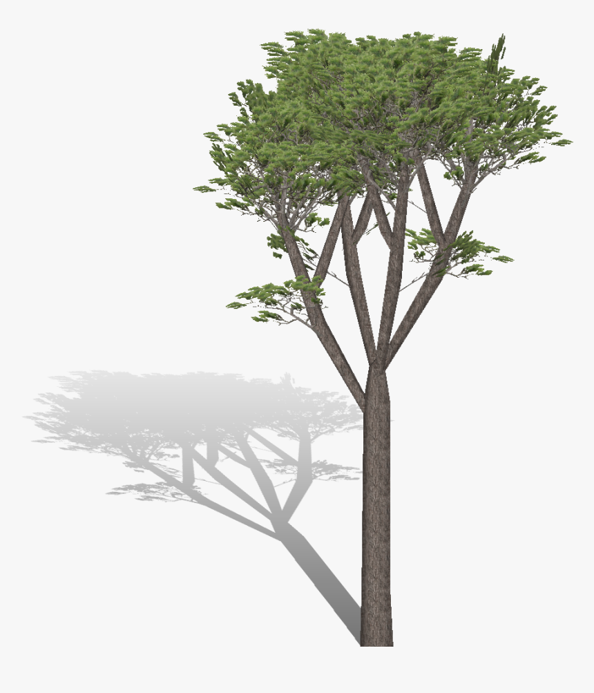 Transparent Pino Png - Fog, Png Download