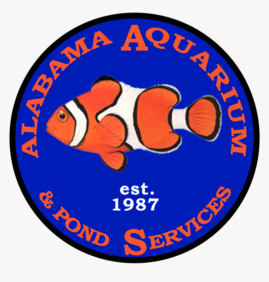 Smk Ar Rahman Watusalam, HD Png Download