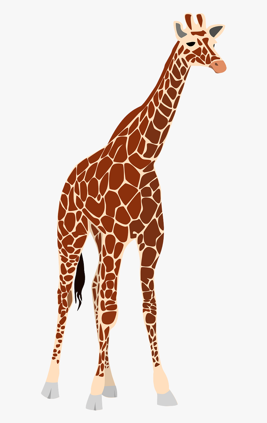Realistic Giraffe Clipart, HD Png Download