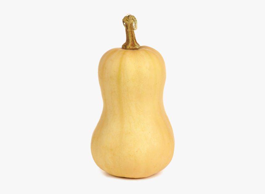 Butternut Squash Transparent Background, HD Png Download