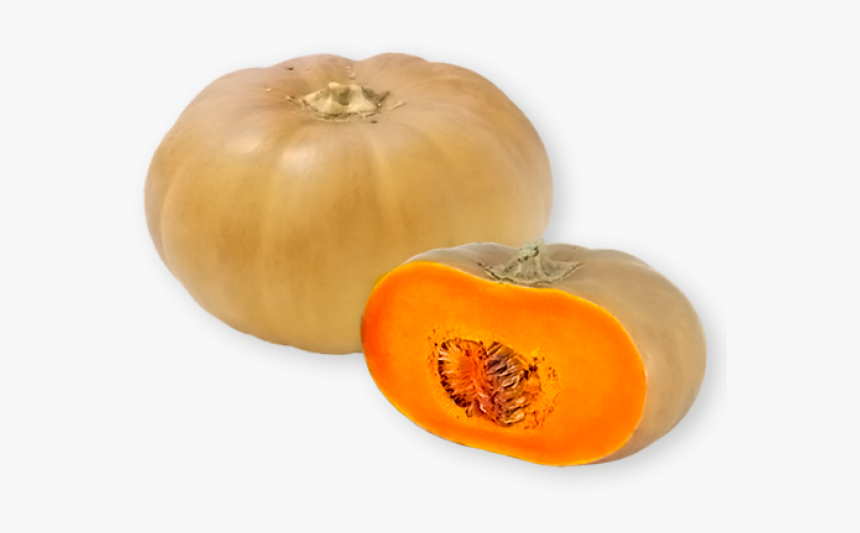 Thumb Image - Nigerian Squash, HD Png Download