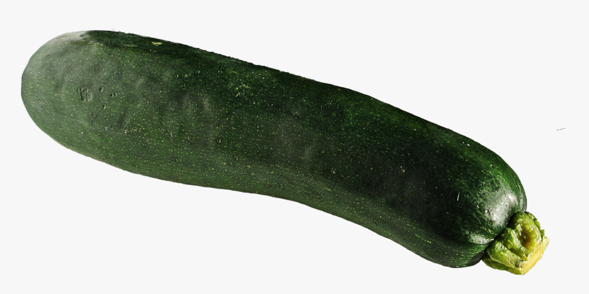Zucchini Png, Transparent Png