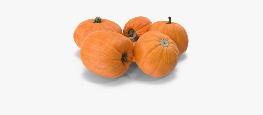 Pumpkin Patch Png Transparent Hd Photo - Pumpkin, Png Download