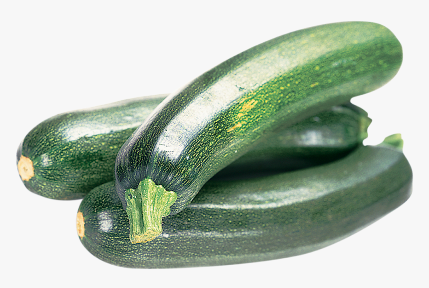 Download Zucchini Transparent Png - Zucchini Png, Png Download