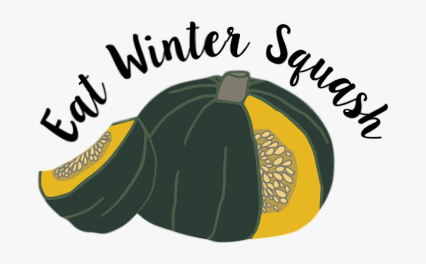 Butternut Squash Png - Illustration, Transparent Png