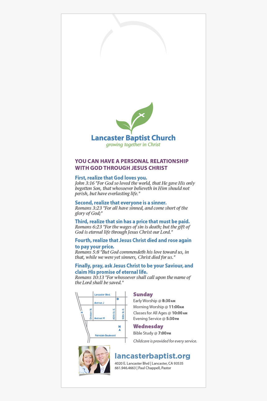 Dolphin, HD Png Download