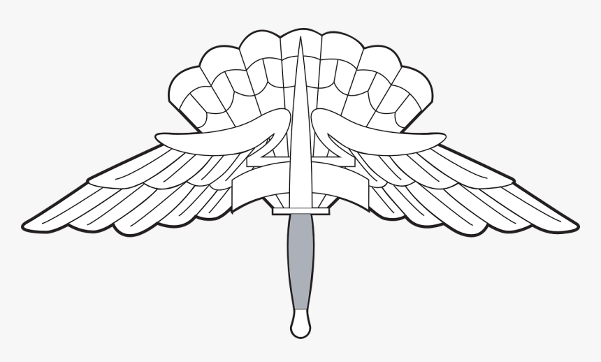 Military Free Fall Wings, HD Png Download