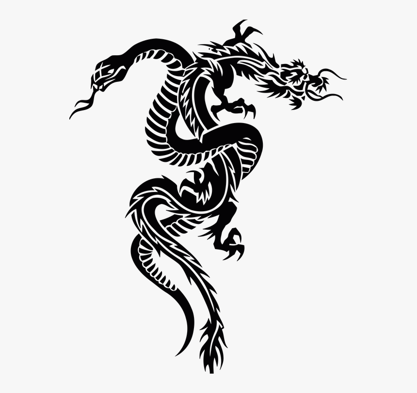 Xenodermus Snakes Dragon Free Clipart Hd Clipart - Dragon And Snake Tattoo Designs, HD Png Download