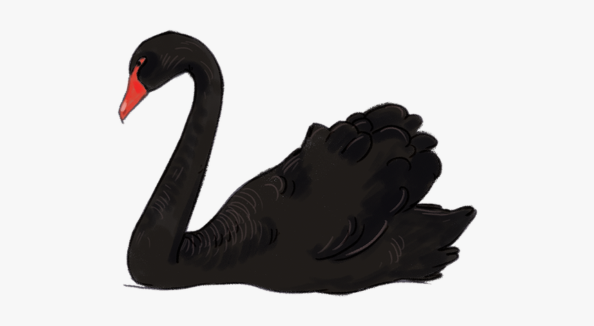 Black Swan Png - Black Swan Clipart, Transparent Png