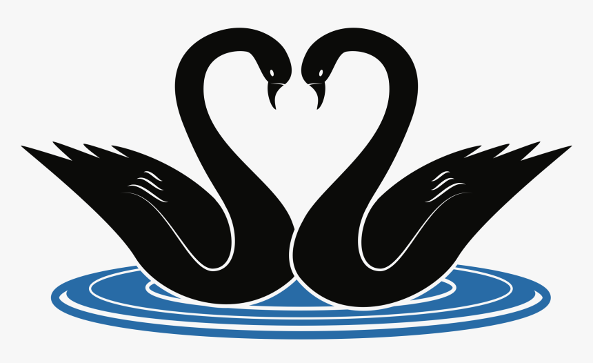 Swan Vector Png - Swans Clipart, Transparent Png