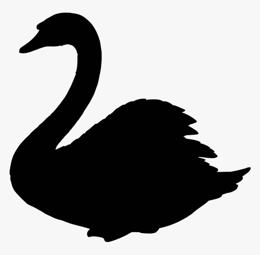 Swan Clipart Transparent Background - Transparent Background Swan Clip Art, HD Png Download