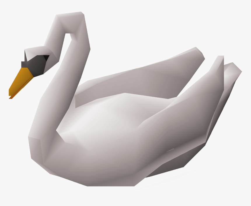Duck, HD Png Download