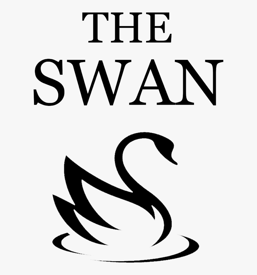 Ducks, Geese And Swans, HD Png Download