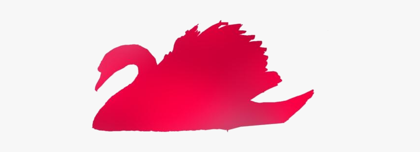 Cute Swan Png, Transparent Cute Swan Clipart - Turkey, Png Download