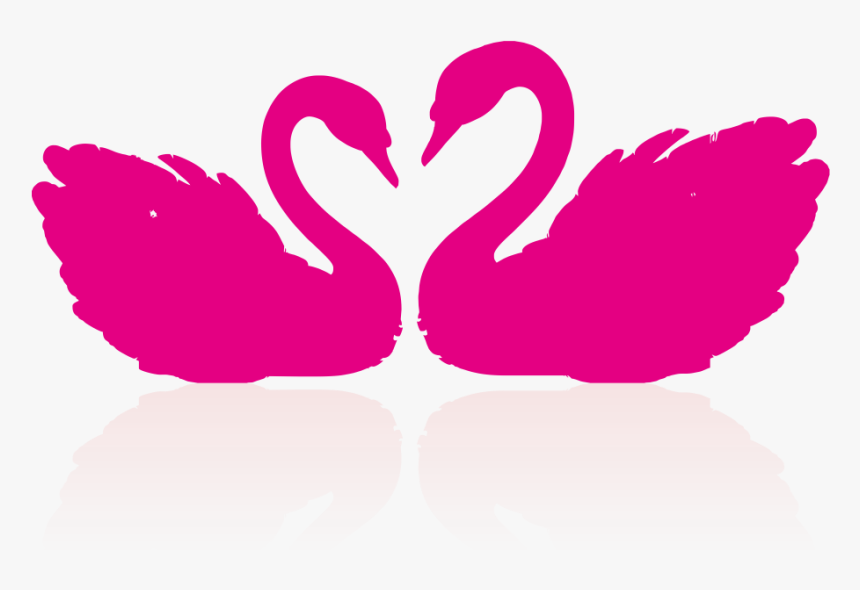 Cygnini Drawing Clip Art - Swan Couple Clipart, HD Png Download