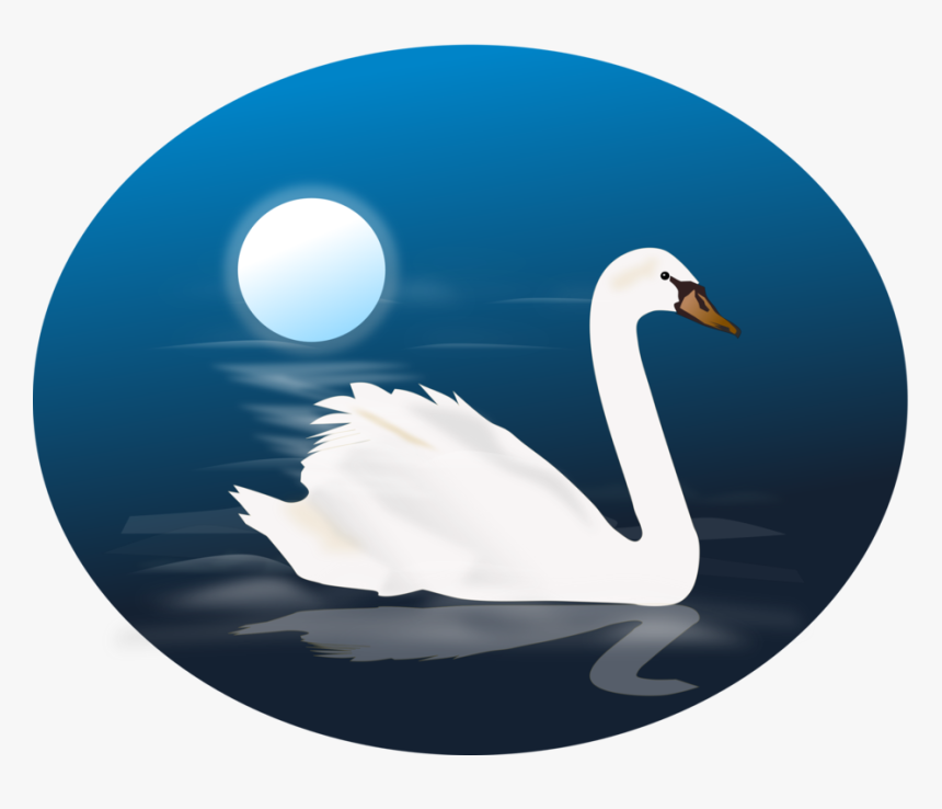 Duck,water Bird,swan - Animated Images Of Swan, HD Png Download