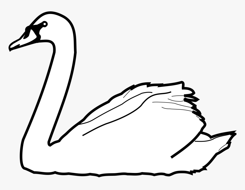 Swans Drawing At Getdrawings - Swan Clipart Png, Transparent Png