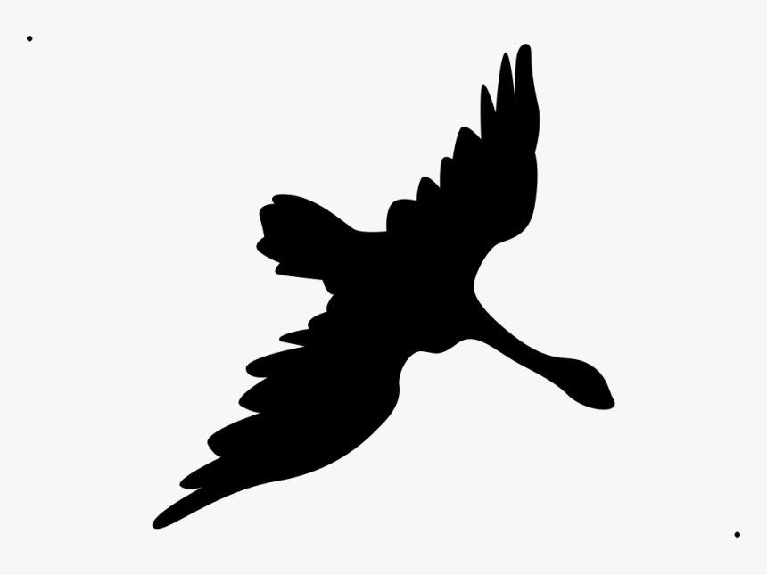 Swan Fill - Accipitridae, HD Png Download