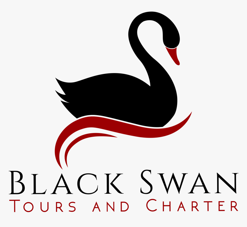 Black Swan , Png Download - Black Swan, Transparent Png