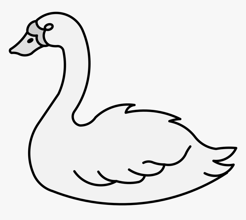 Duck, HD Png Download