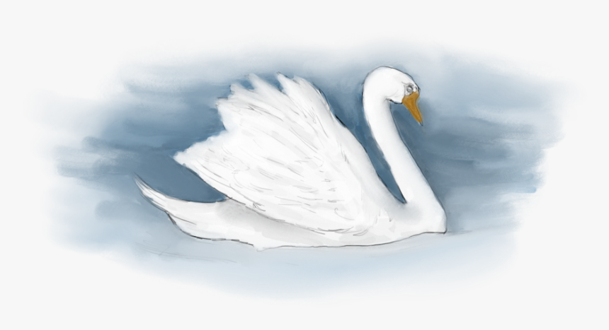 Tundra Swan, HD Png Download