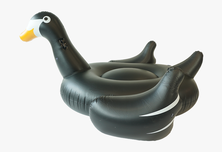 Sunfloats Inflatable Black Swan Pool Floats - Inflatable, HD Png Download