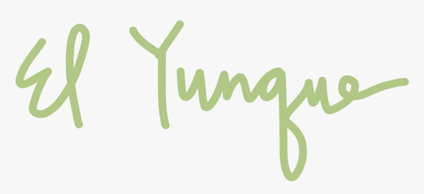 Puerto Rico Website Graphics-02 - Calligraphy, HD Png Download