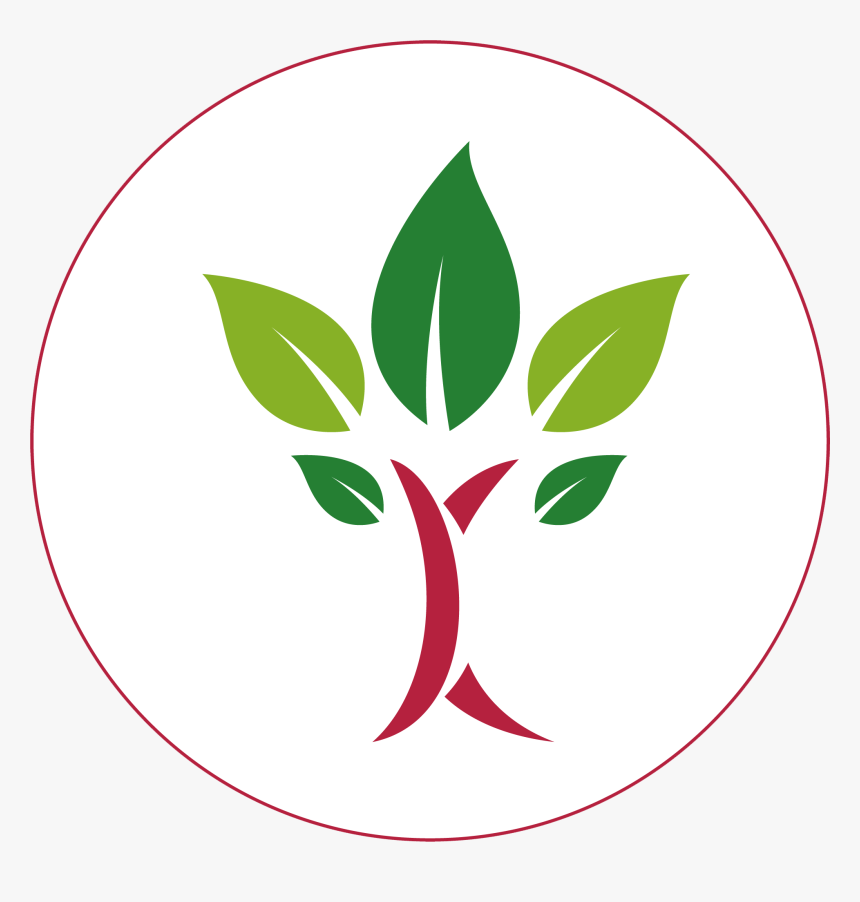 Circle, HD Png Download