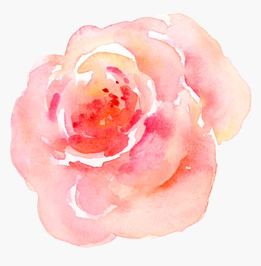 Pink Watercolor Flower Transparent - Garden Roses, HD Png Download