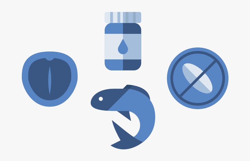 Icon Of Macadamia Nut, Fish And Pill Bottle - Graphic Design, HD Png Download
