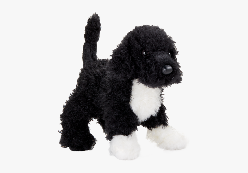 Toy Poodle, HD Png Download
