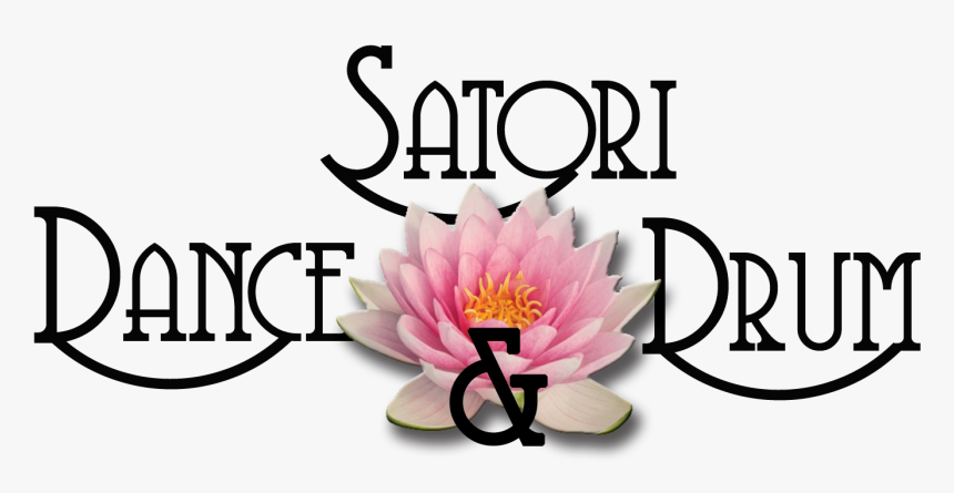 Lotus Flower, HD Png Download