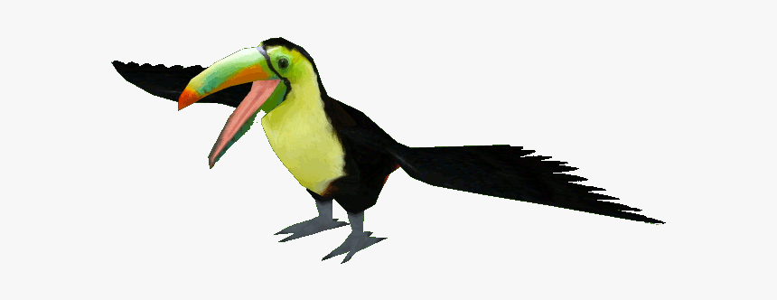 Keelbilled Toucan Png - Keel Billed Toucan Transparent, Png Download