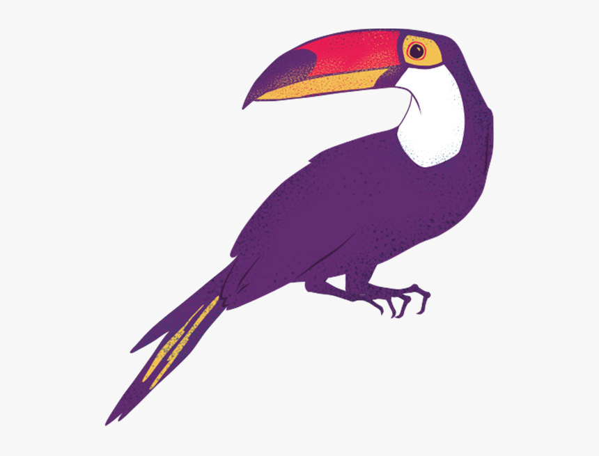 Transparent Bluebirds Clipart - Animais Amazônia Png, Png Download