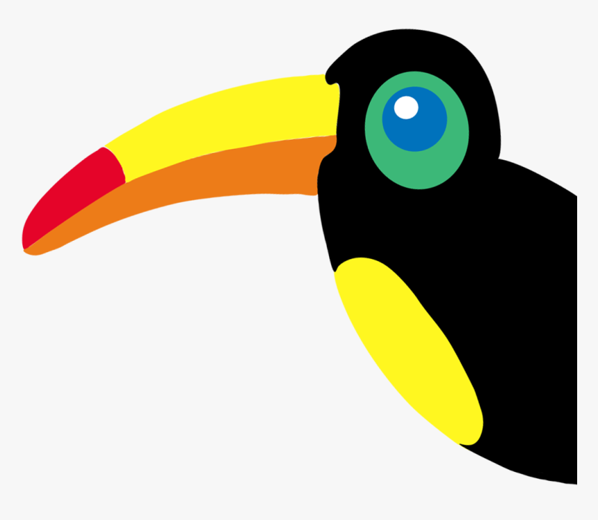 Toucan, HD Png Download