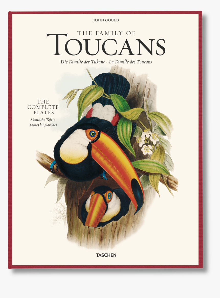 The Family Of Toucans - Toucan John Gould, HD Png Download