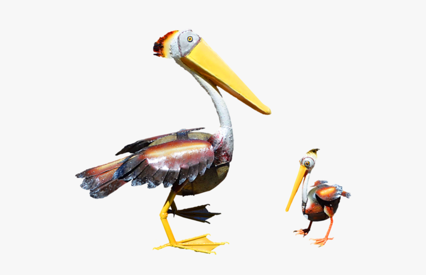 Pelican Products Toucan Fauna Beak - Brown Pelican, HD Png Download