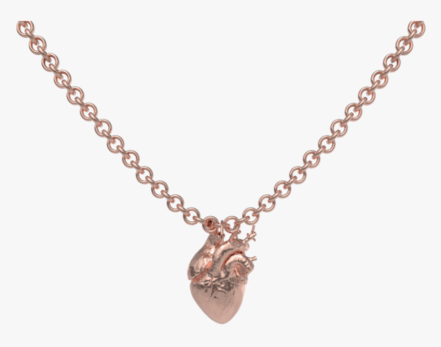 16th Century Chain Necklace, HD Png Download