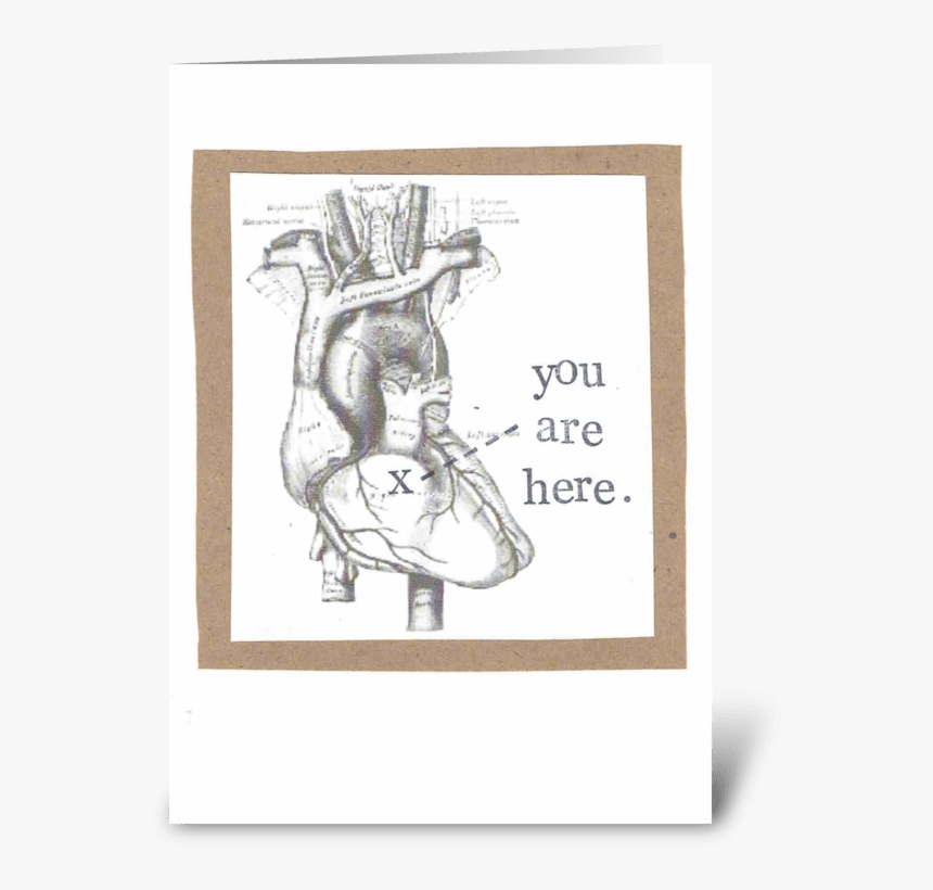 You Are Here Anatomical Heart Greeting Card - Valentine's Day Medical Puns, HD Png Download